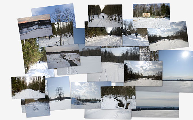 Фотоальбом PICASA