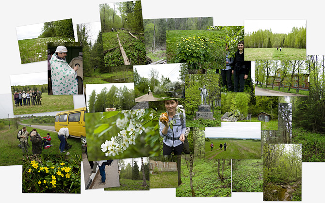 Фотоальбом PICASA