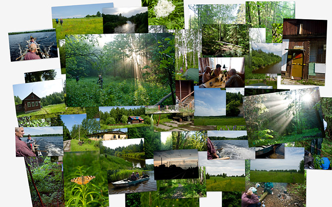 Фотоальбом PICASA