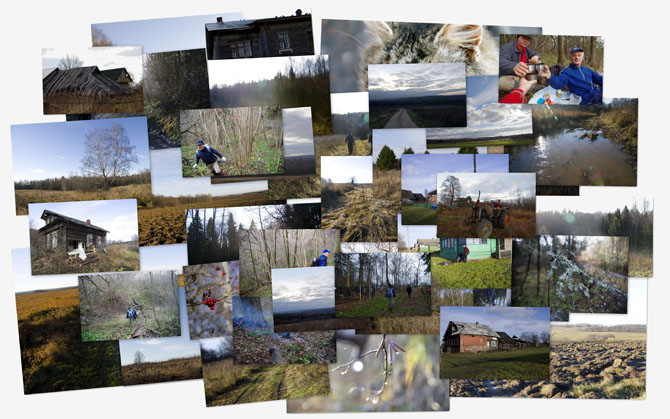 Фотоальбом PICASA