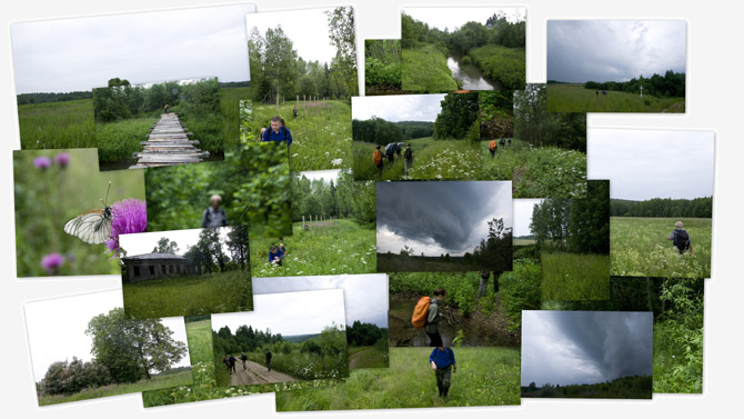 Фотоальбом PICASA