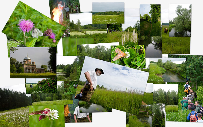 Фотоальбом PICASA