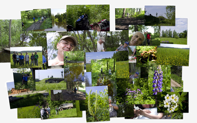 Фотоальбом PICASA